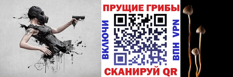 Псилоцибиновые грибы мицелий  магазин    Стрежевой 